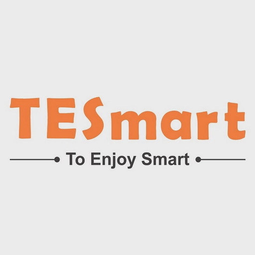 TESmart KVM Switch