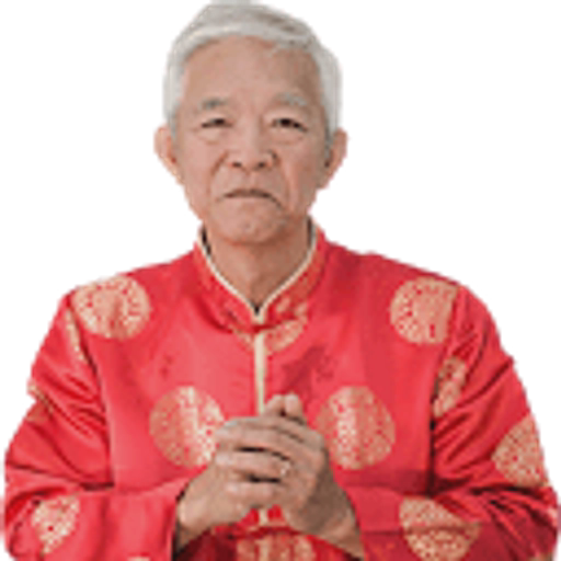 Master Li's Manifestation Codes